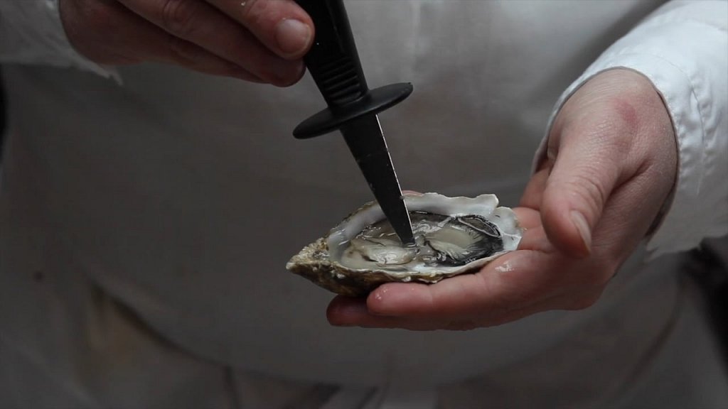 SHUCKING OYSTERS